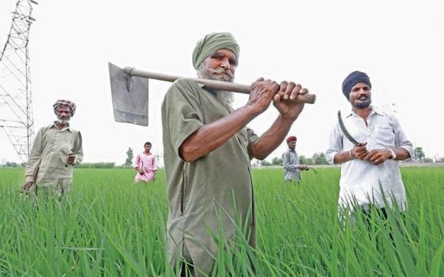 You are currently viewing <span class='red'>PM किसान योजना : </span>किसानों के लिए बड़ा अपडेट, अगली किस्त के लिए 15 अक्टूबर तक निपटा लें ये 3 काम
