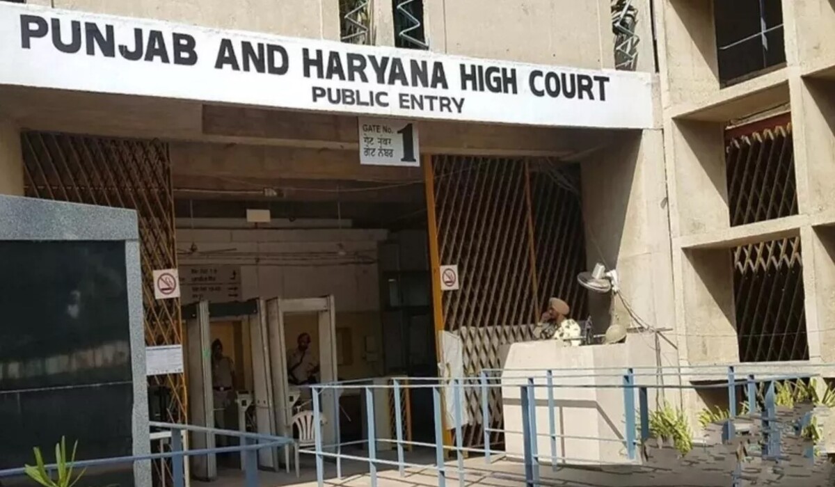 Read more about the article Punjab Haryana High Court: ‘विधवा को 1.11 करोड़ की वसूली के लिए नोटिस दिया…’, High Court ने कहा – ‘यह आदेश हमें चौंका