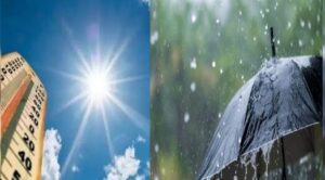 Read more about the article MP : 48 घंटों तक तेज बारिश से राहत; 29 -30 अगस्त को फिर एक्टिव होगा स्ट्रांग सिस्टम