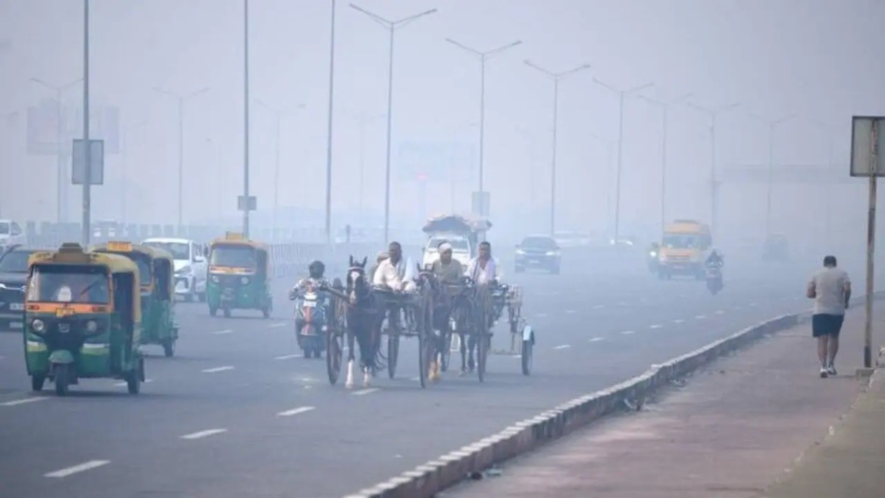 You are currently viewing MP Weather Update: दिन में तेज धूप और रात में ठंडी हवा का अहसास हो रहा है, 15 नवंबर के बाद बदलेगा मौसम; ग्वालियर-चंबल क्षेत्र में हल्की बारिश की उम्मीद