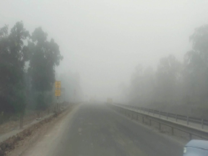 Read more about the article नए साल की पहली सुबह: कोहरे में लिपटा मध्यप्रदेश, मौसम विभाग ने जारी किया कड़ाके की ठंड और शीतलहर का अलर्ट