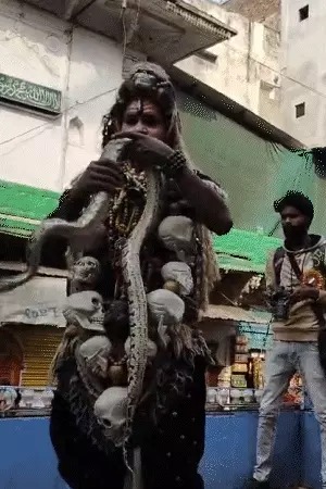 Read more about the article Prayagraj Maha Kumbh: महाकुंभ में श्री पंचायती नया उदासीन अखाड़े की भव्य पेशवाई; गले में अजगर और नरमुंड की माला, शिव रूप में कलाकार की झांकी!