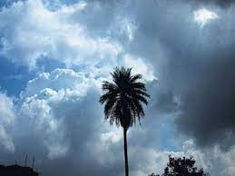 Read more about the article मध्यप्रदेश में मौसम का बदला मिजाज: कहीं तापमान में उछाल तो कहीं ठंडक बरकरार, 8 फरवरी से फिर बदलेगा मौसम; पश्चिमी विक्षोभ के चलते 12-14 फरवरी को बारिश की संभावना