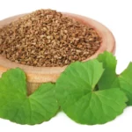 अजवाइन: एक छोटा मसाला, बड़े फायदे – जानिए इसके 7 चमत्कारी स्वास्थ्य लाभ