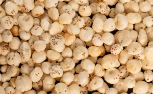 Read more about the article हृदय से हड्डियों तक फायदेमंद मखाना, क्या आप इसे अपनी डाइट में शामिल कर रहे हैं?