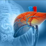 आपकी थाली में छुपा है लिवर की बीमारी का ज़हर, जानिए किन आदतों से खतरे में है सेहत