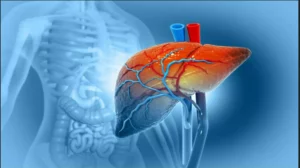 Read more about the article आपकी थाली में छुपा है लिवर की बीमारी का ज़हर, जानिए किन आदतों से खतरे में है सेहत