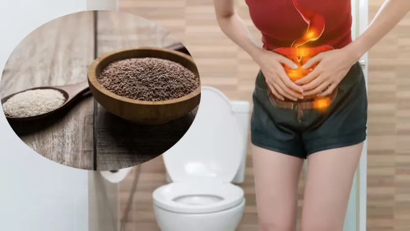 Read more about the article पेट की गंदगी आसानी से बाहर निकालता है इसबगोल, दादी-नानी का आजमाया नुस्खा!