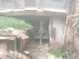 Read more about the article इंदौर: 80 साल के बुजुर्ग का शव खंडहर मकान से मिला, दरवाजा तोड़ा तो अंदर कुत्ते खा रहे थे लाश; सिर और चेहरा पूरी तरह क्षतिग्रस्त!