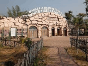 Read more about the article सीमा बदलने के प्रस्ताव से गरमाई विंध्य की राजनीति, मैहर की 6 पंचायतों को रीवा में मिलाने के प्रस्ताव पर नेताओं का संगठित विरोध तेज़; सांसद गणेश सिंह बोले—‘किसी कीमत पर गांव मैहर से बाहर नहीं जाएंगे’!