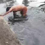 इंदौर में आस्था पर चोट: प्राचीन मंदिर की मूर्तियां उखाड़कर कान्ह नदी में फेंकीं, इलाके में तनाव; 15 अगस्त को भी मंदिर से मिले थे मवेशियों के अवशेष, हिंदू संगठनों का फूटा गुस्सा!