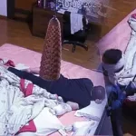 इंदौर में रिटायर्ड जस्टिस के घर हुई हाई-प्रोफाइल चोरी: परिवार सोता रह गया, 4 मिनट में ले गए लाखों का माल; सीसीटीवी में मिनट-दर-मिनट कैद हुई वारदात!