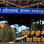 इंदौर एयरपोर्ट में चूहे ने यात्री को काटा, शिकायत के बाद मैनेजमेंट एक्शन में आया: मेडिकल रूम में तैनात डॉ. हर्षवर्धन सिंह को हटाया, पेस्ट कंट्रोल एजेंसी को जारी किया नोटिस!