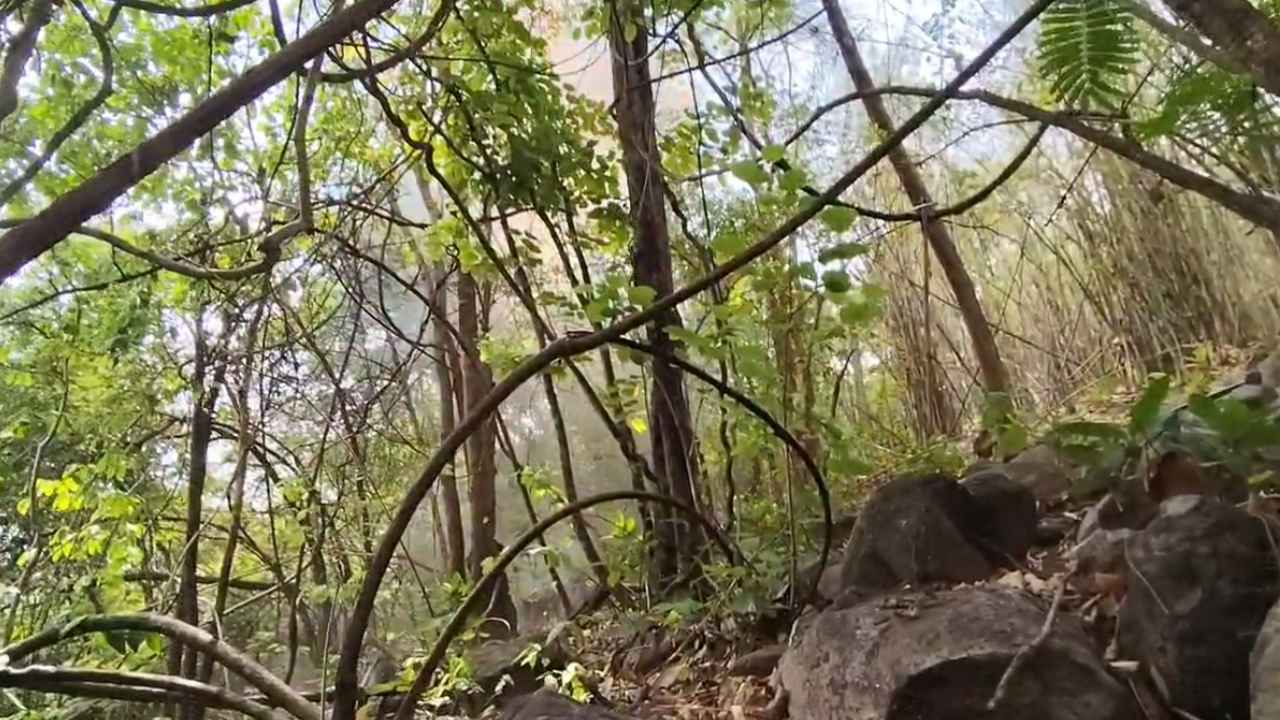 You are currently viewing सुकमा में IED ब्लास्ट, महिला आरक्षक घायल, जवानों ने गोगुंडा पहाड़ी में सर्चिंग की तेज