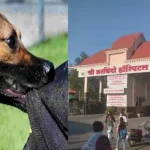 इंदौर में कुत्ते का आतंक! 10 घंटे में 42 लोगों को काटा, नगर निगम की टीम से मांगी मदद, जबाव मिला- अतिक्रमण हटा रहे